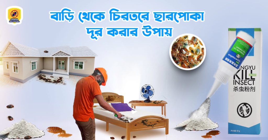 how to get rid of cockroaches from home forever