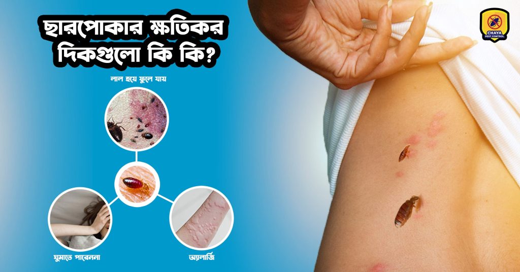 what effects do bed bugs have on humans