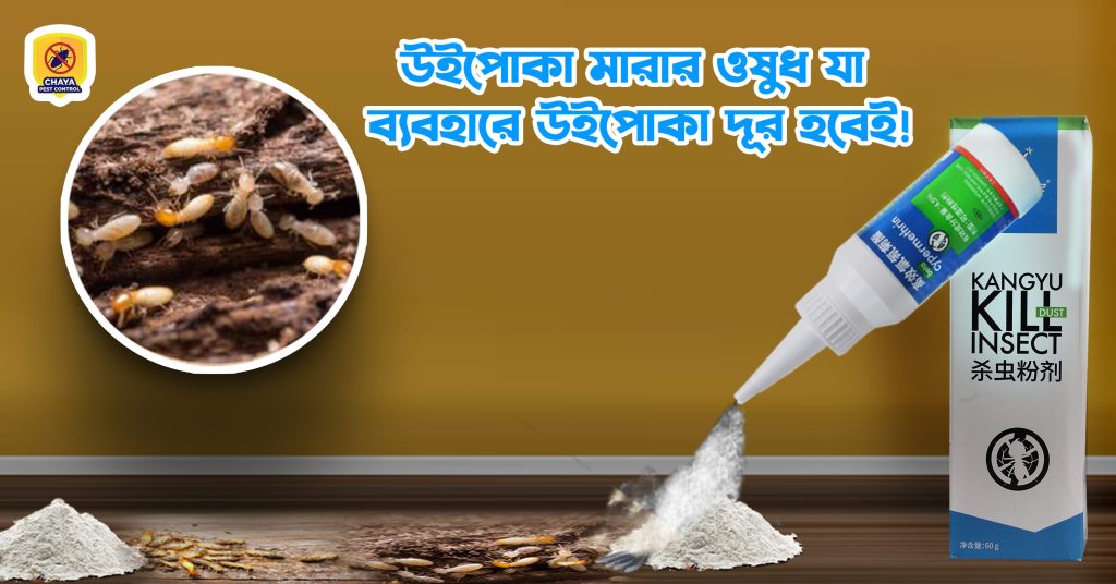 termite killing medicine