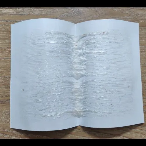 Dahao Powerful Fly Glue Trap (10 Pices) - Image 3